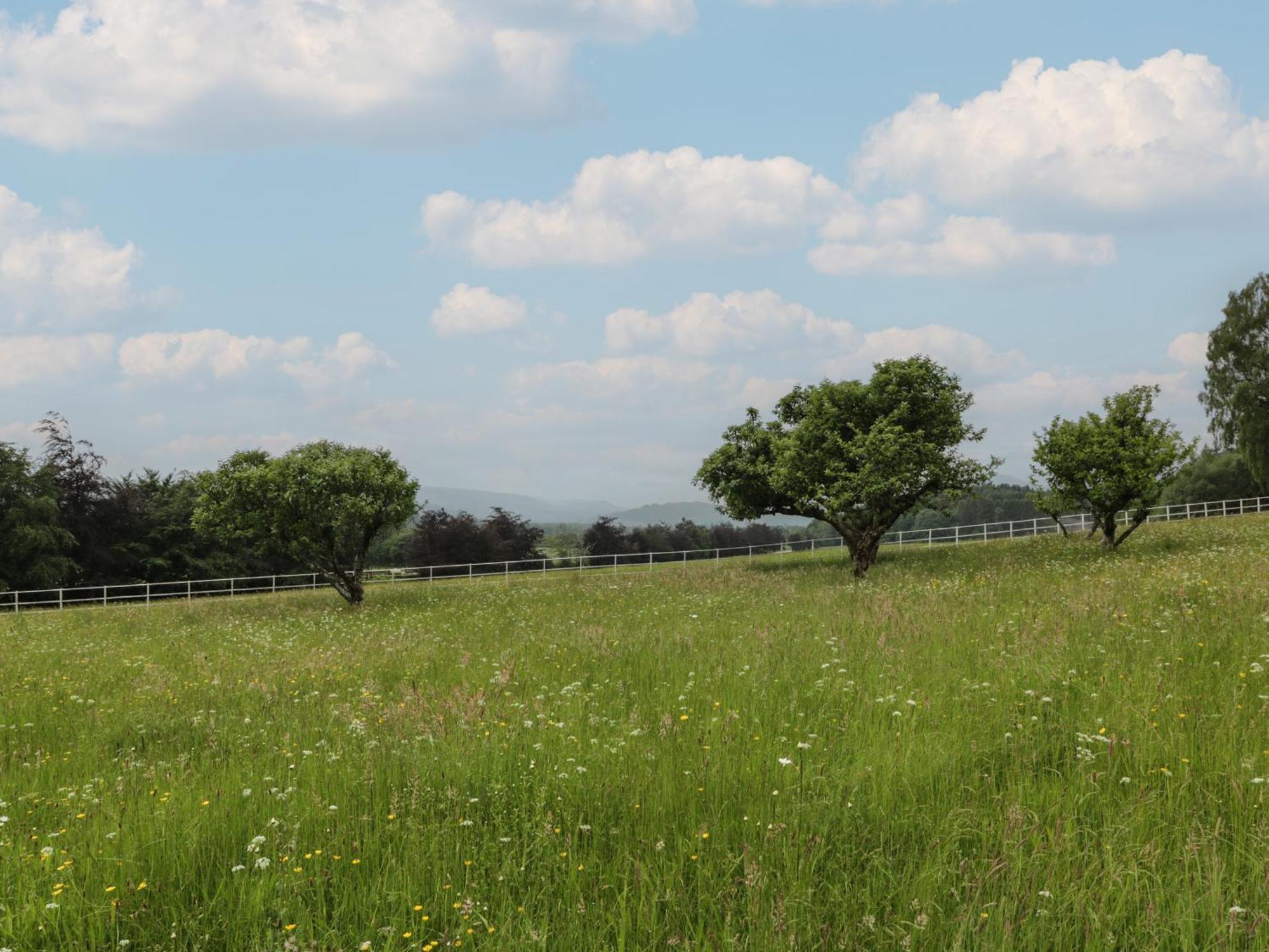 Fordie South Cottage Кріфф Екстер'єр фото